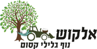 לוגו
